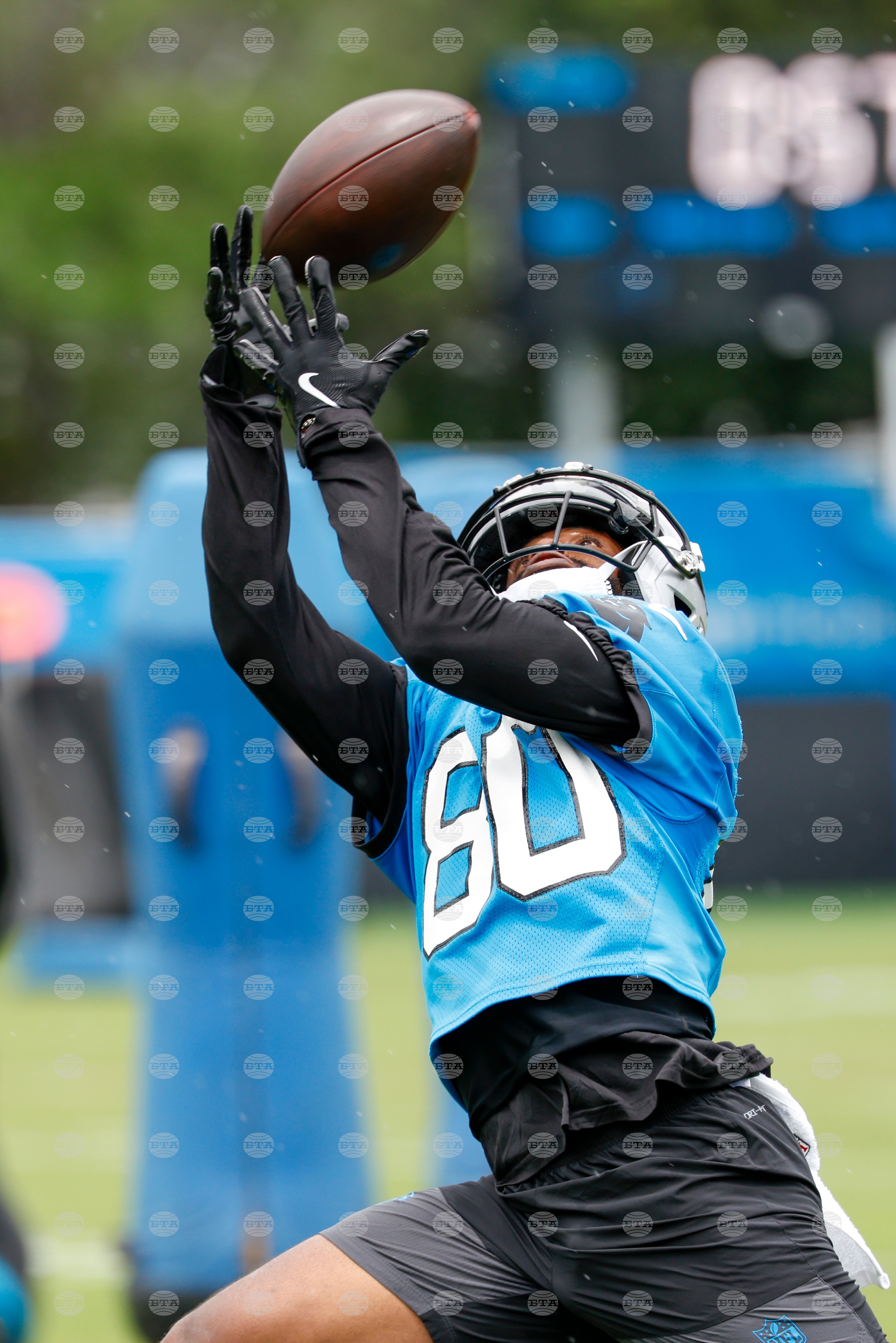 Panthers Football
