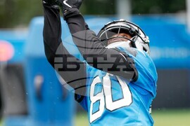 Panthers Football