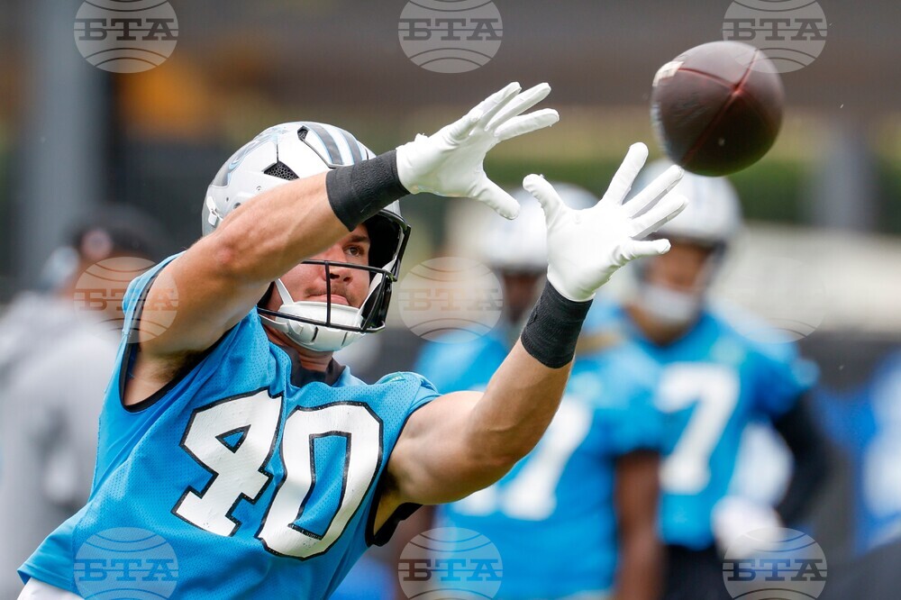 Panthers Football