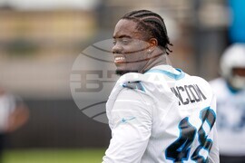 Panthers Football