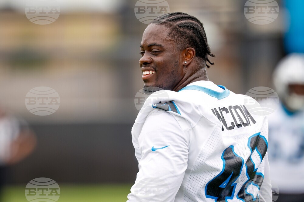 Panthers Football