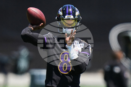 Ravens Football