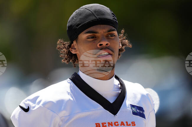 Bengals Football