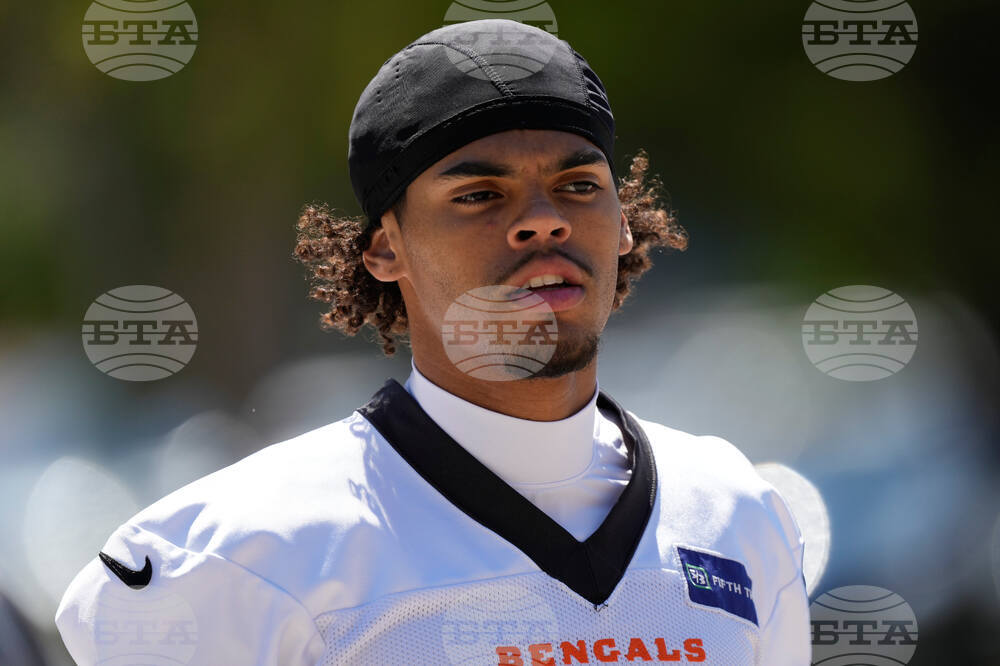 Bengals Football