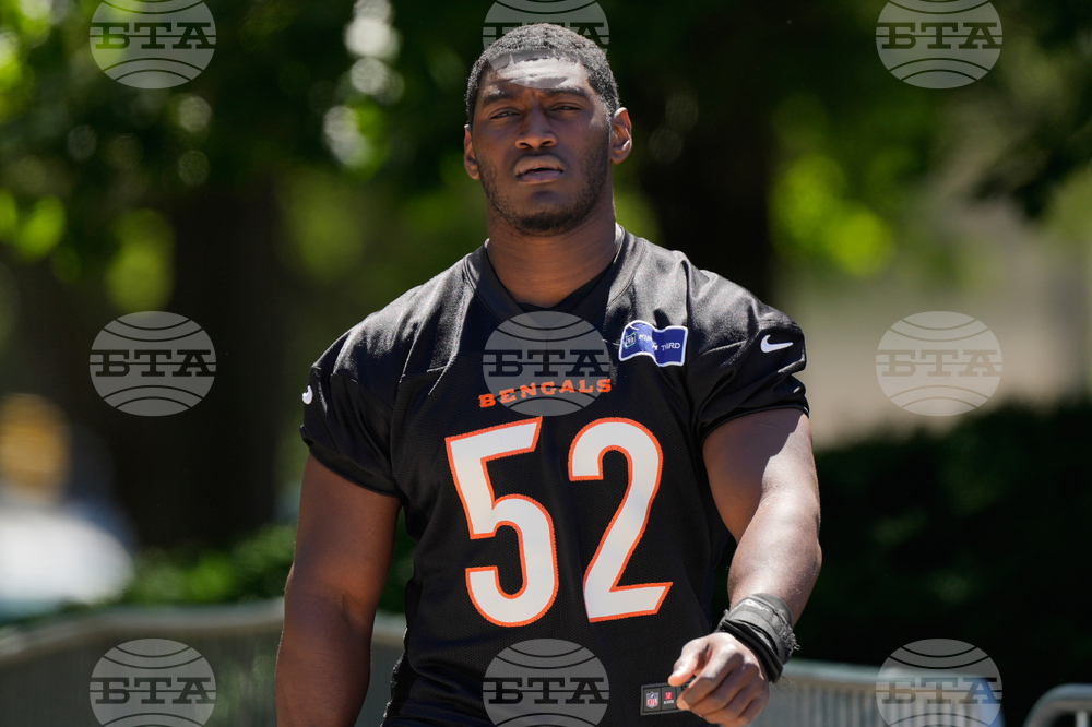 Bengals Football