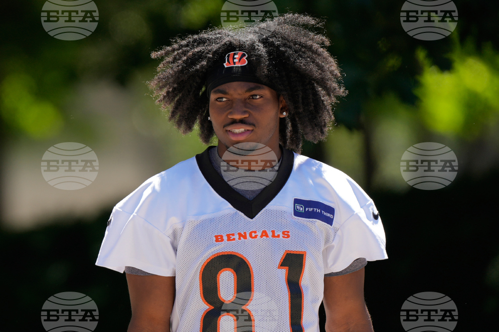 Bengals Football