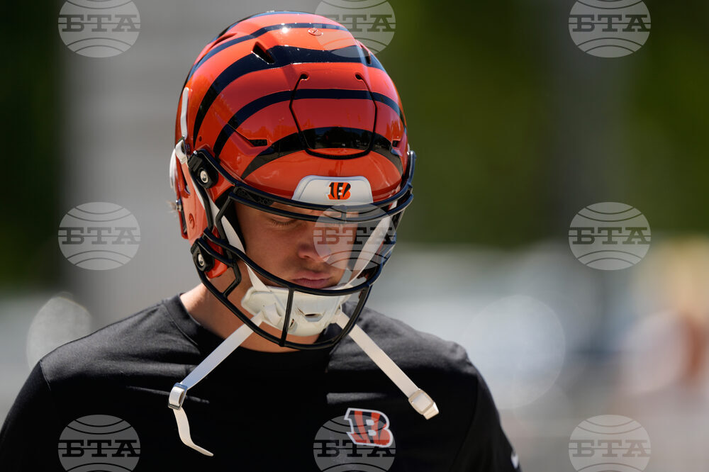 Bengals Football