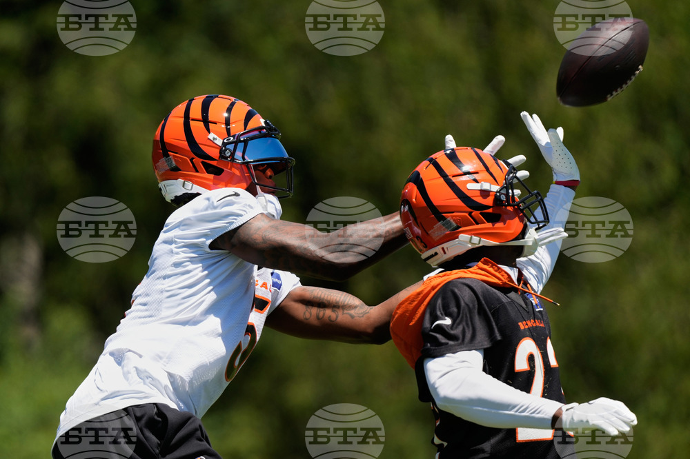 Bengals Football