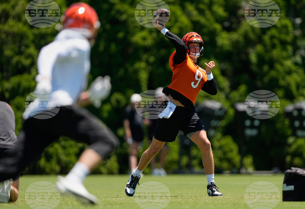 Bengals Football