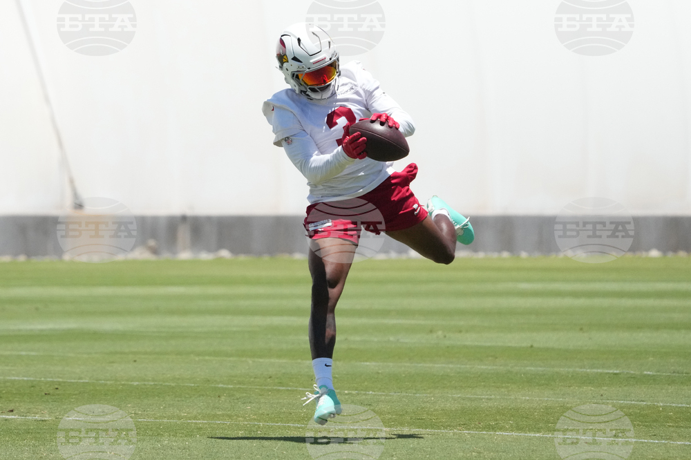 Cardinals Football