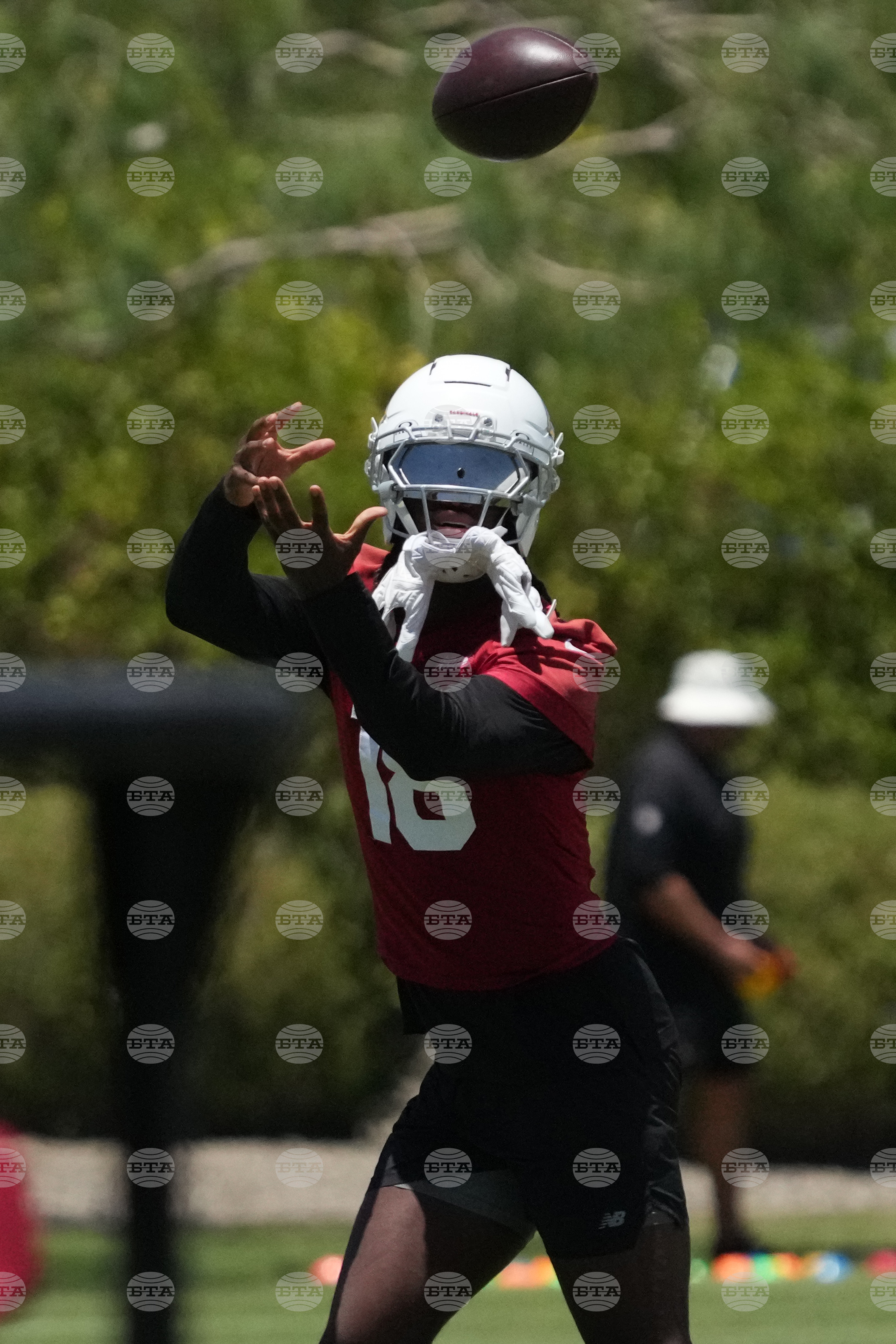 Cardinals Football