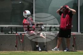 Cardinals Football