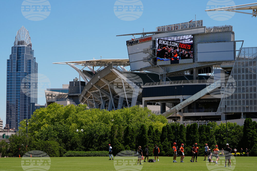 Bengals Football