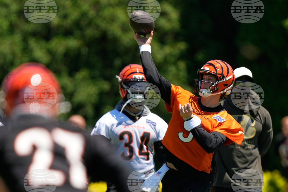 Bengals Football