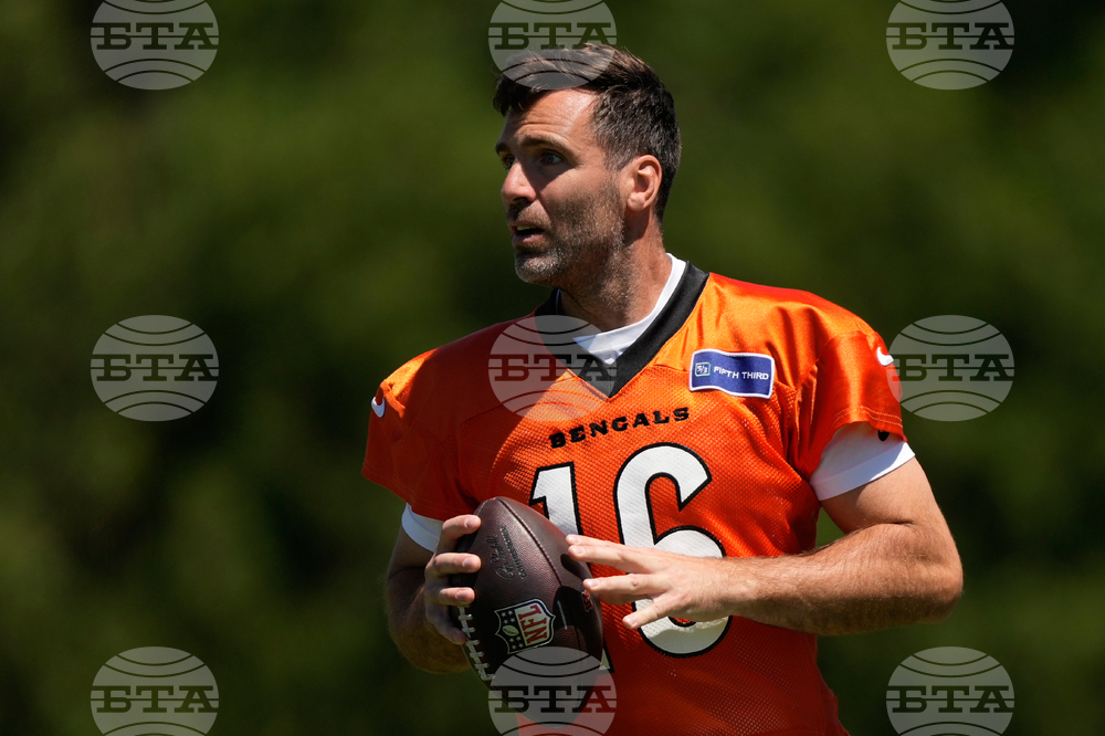 Bengals Football