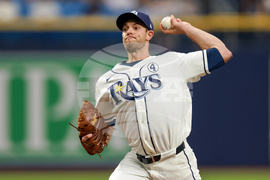 Tigers Rays Baseball