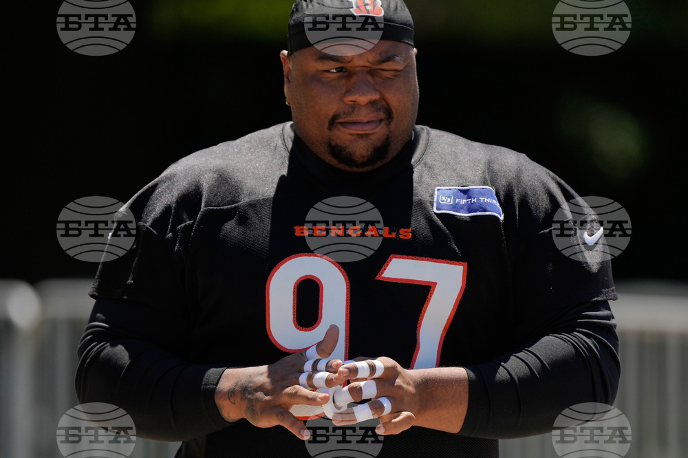 Bengals Football