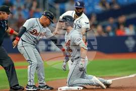 Tigers Rays Baseball