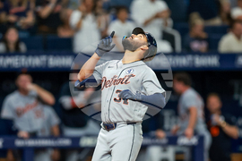 Tigers Rays Baseball