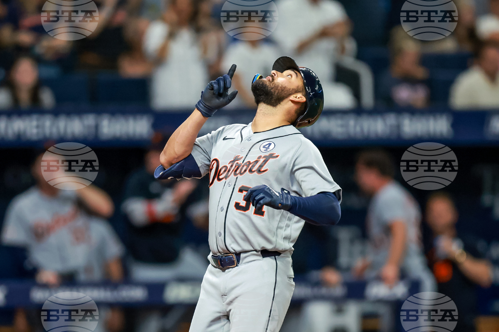 Tigers Rays Baseball