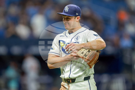 Tigers Rays Baseball