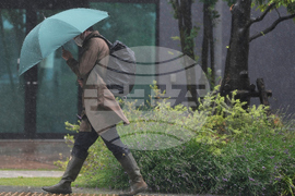 Japan Typhoon