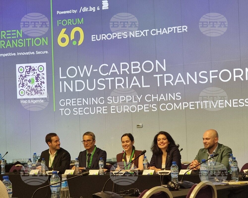Price of Solar Energy Has Dropped by 68%, Says Former Energy Minister Traikov