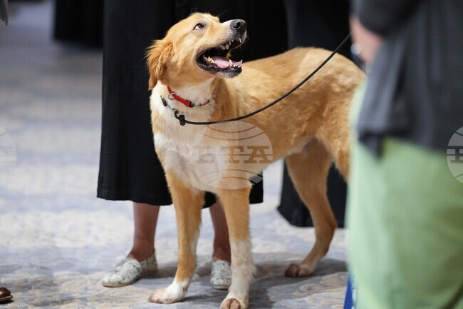 North American Pet Health Insurance Association (NAPHIA) Engage Conference - May 26