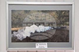 Плевен - изложба - Богомил Стоев