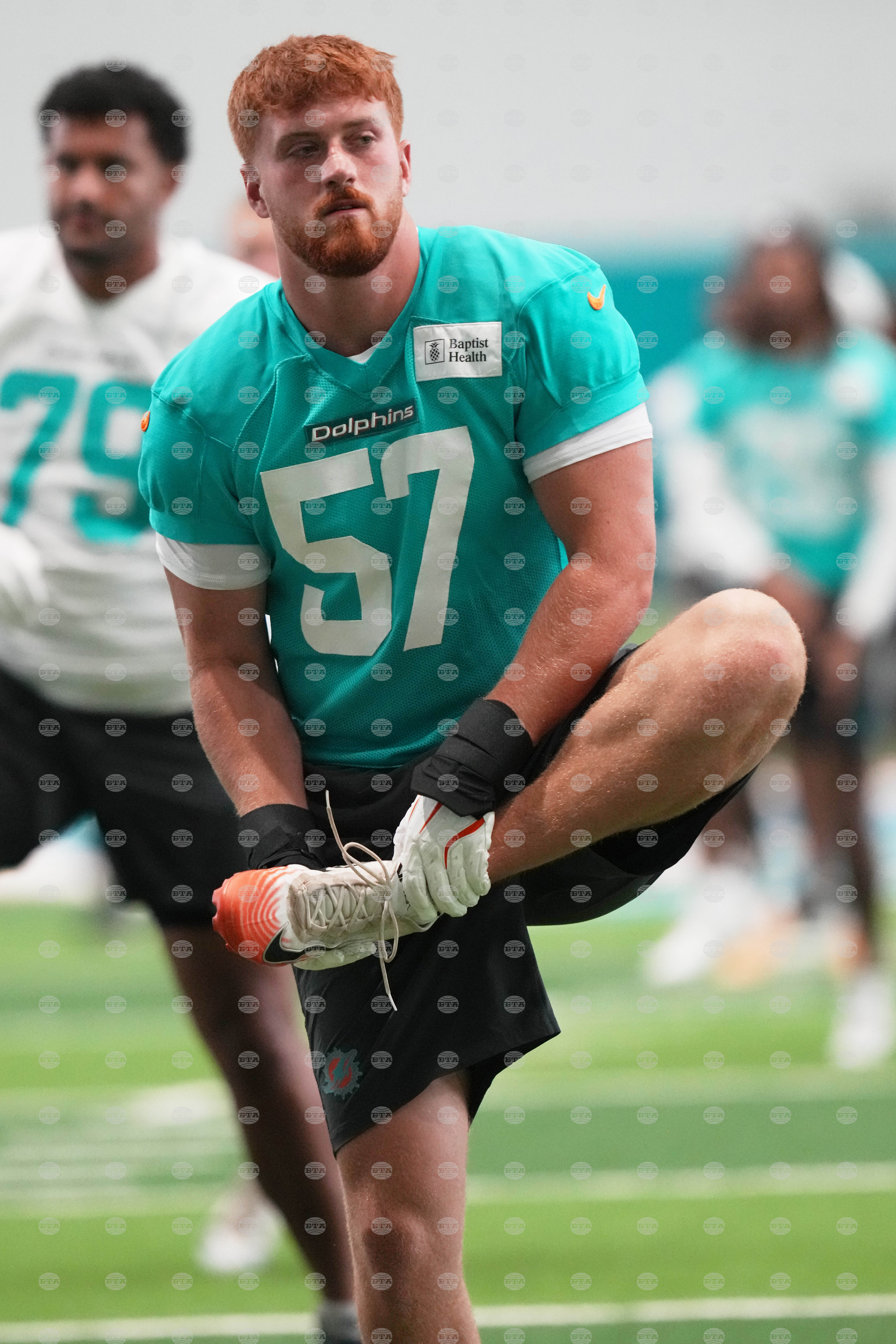 Dolphins Football
