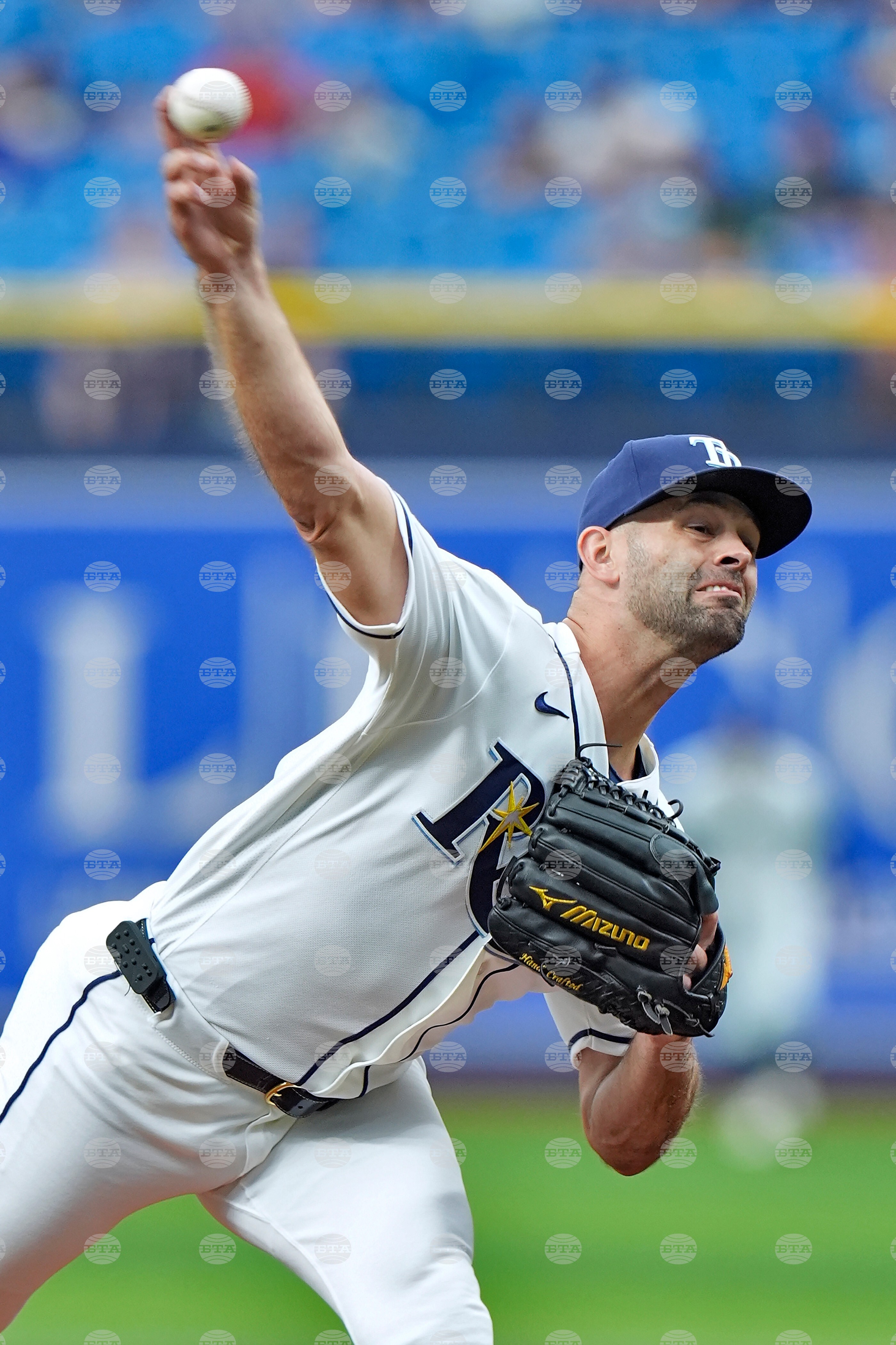 Tigers Rays Baseball