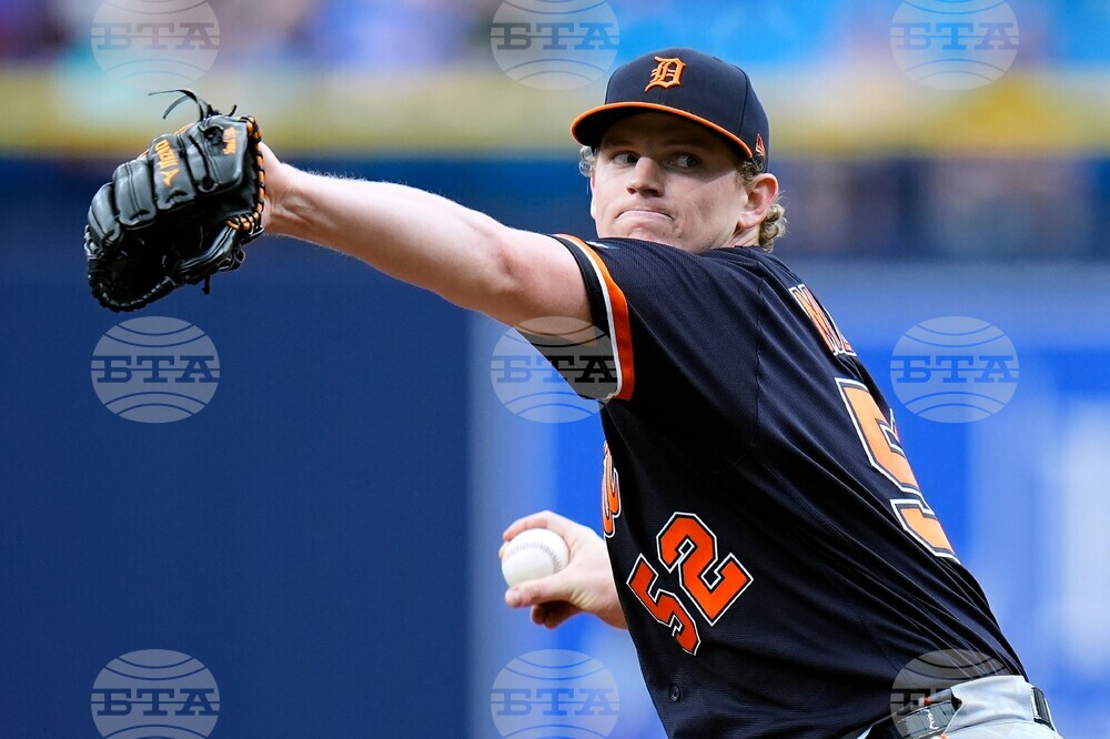 Tigers Rays Baseball