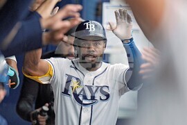 Tigers Rays Baseball