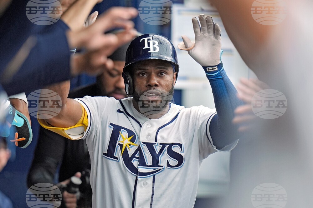 Tigers Rays Baseball