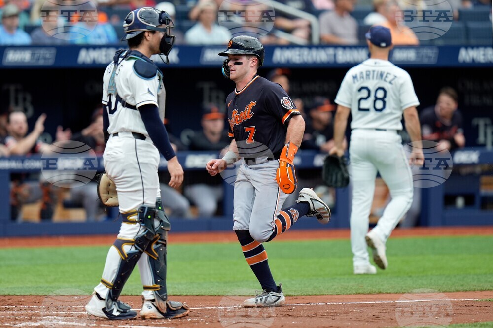 Tigers Rays Baseball