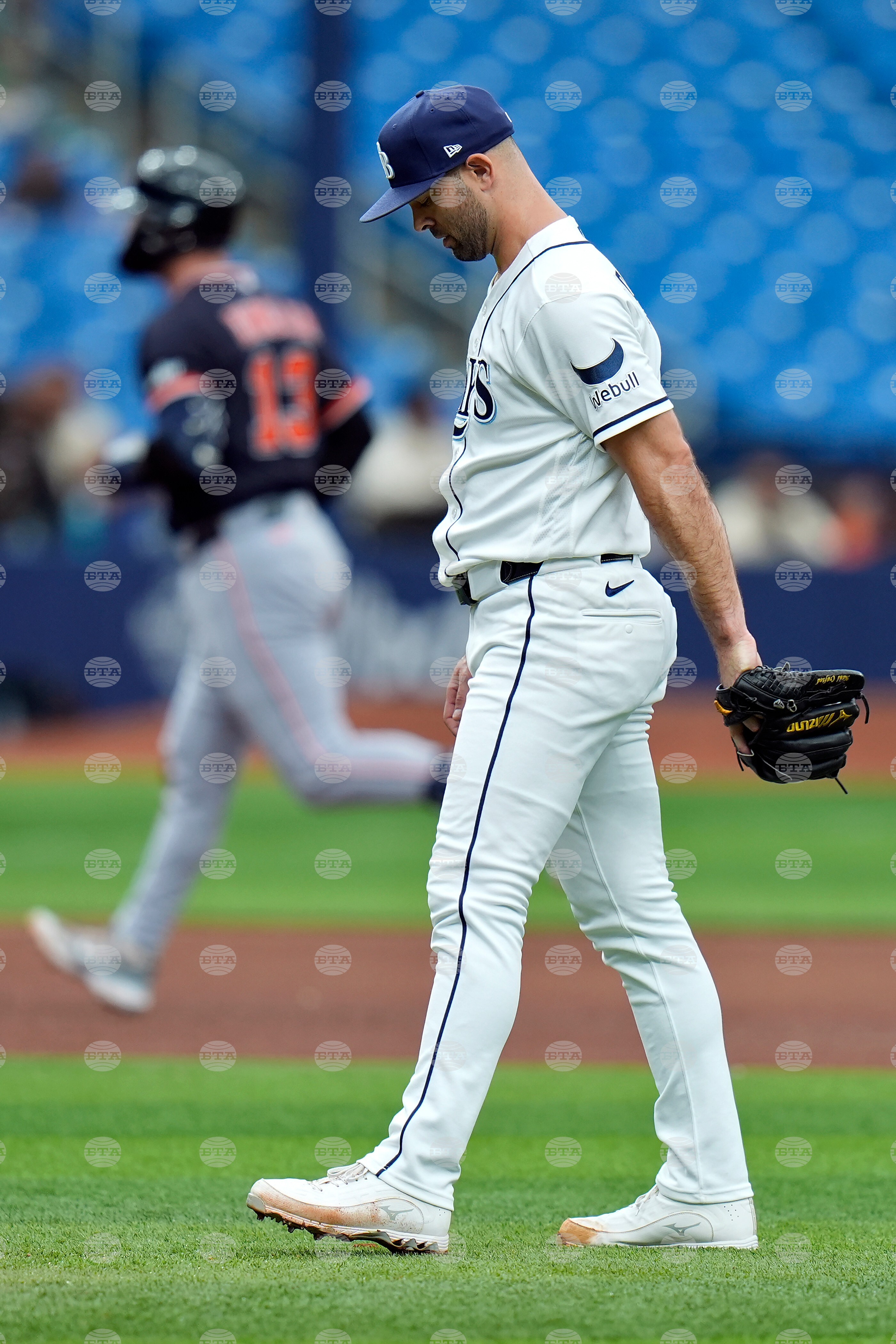 Tigers Rays Baseball