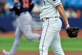 Tigers Rays Baseball