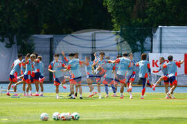 Mexico Japan WCup