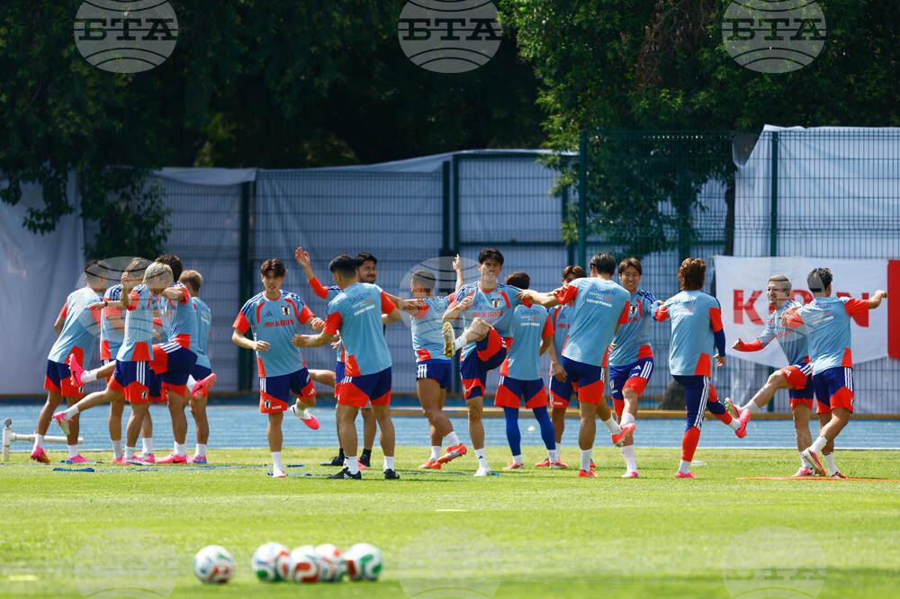 Japan WCup Soccer