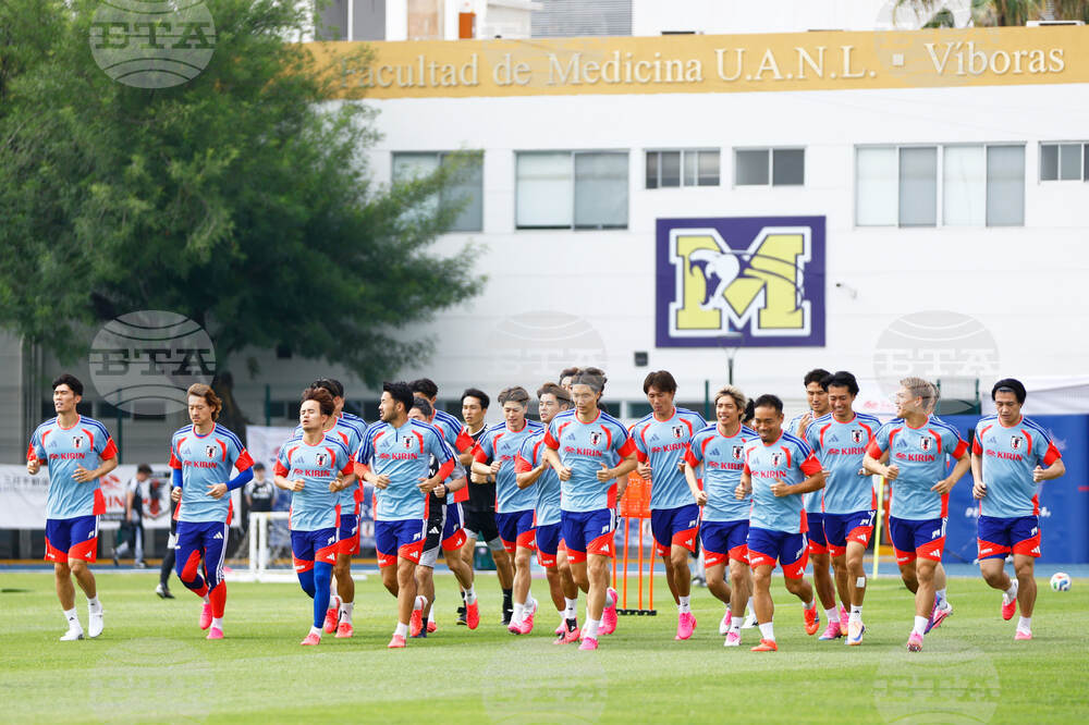 Japan WCup Soccer