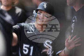 White Sox Twins Baseball