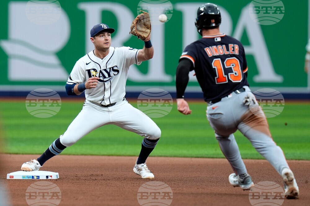 Tigers Rays Baseball