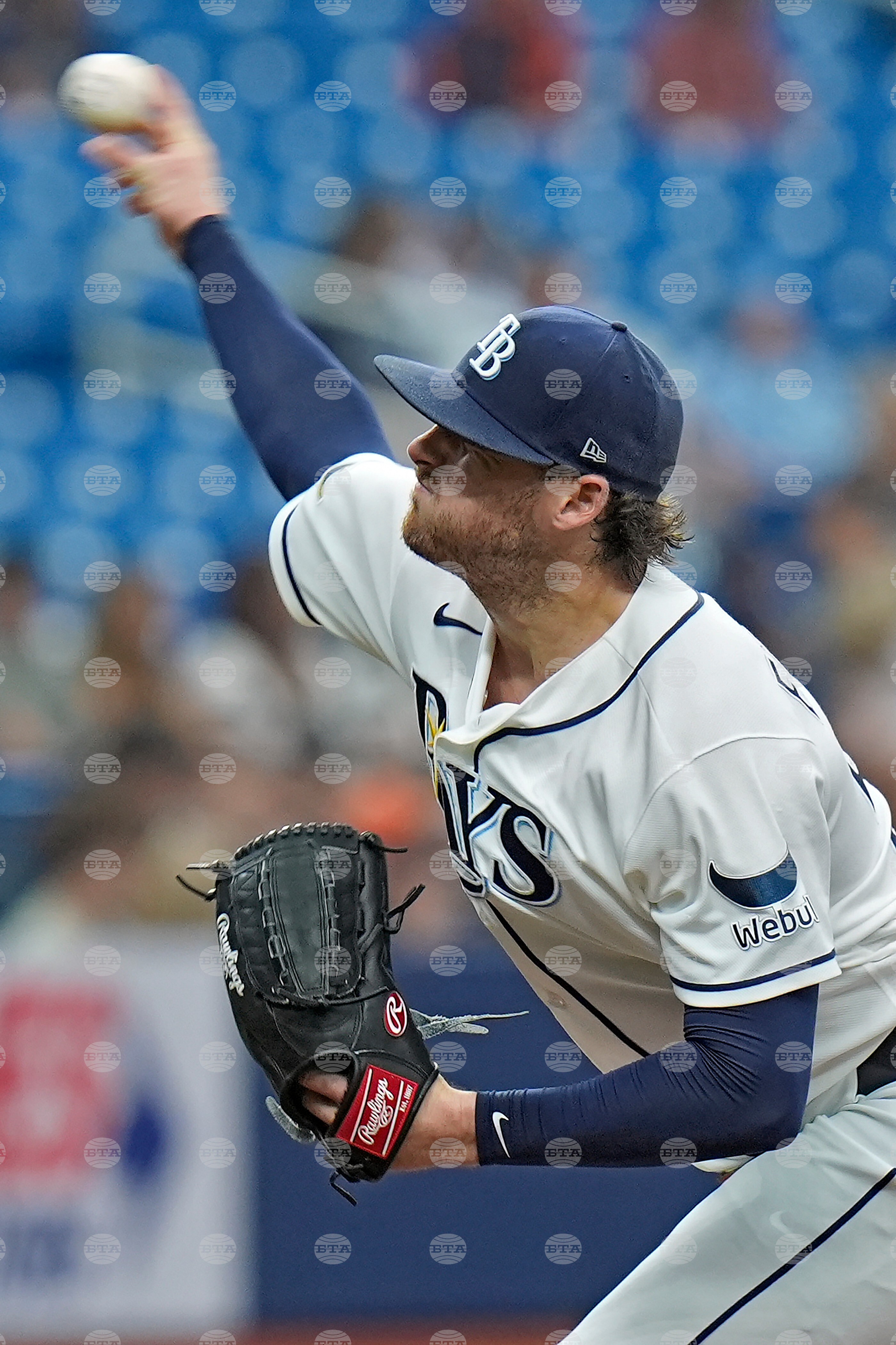 Tigers Rays Baseball