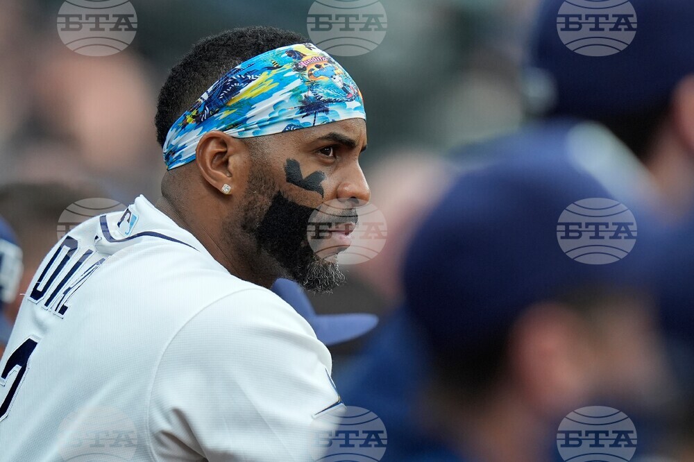 Tigers Rays Baseball