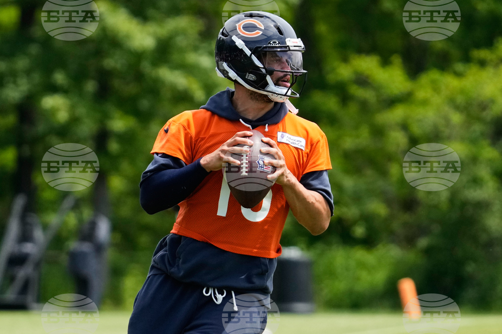 Bears Football