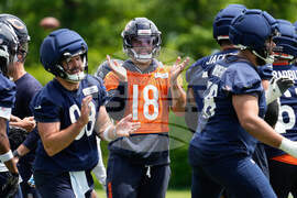 Bears Football
