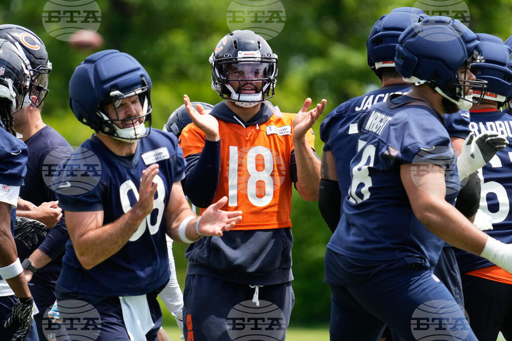 Bears Football