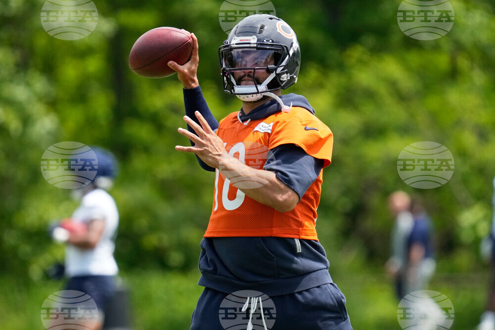 Bears Football