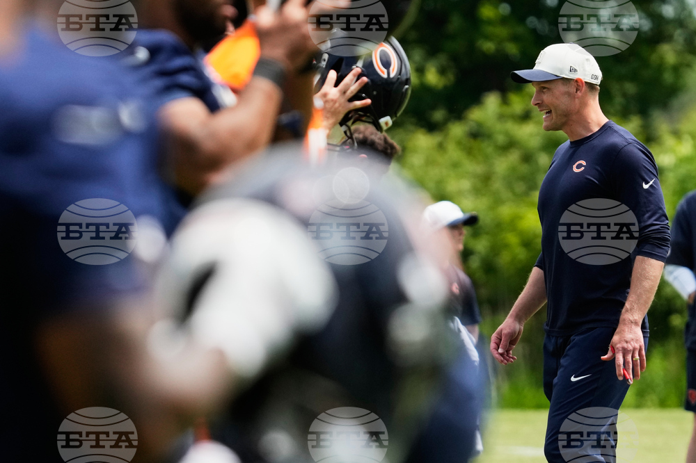 Bears Football