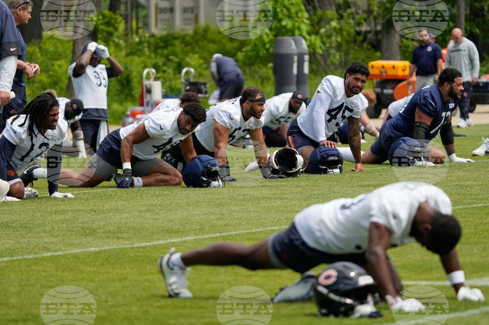 Bears Football
